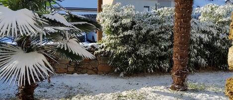 Áreas de la propiedad