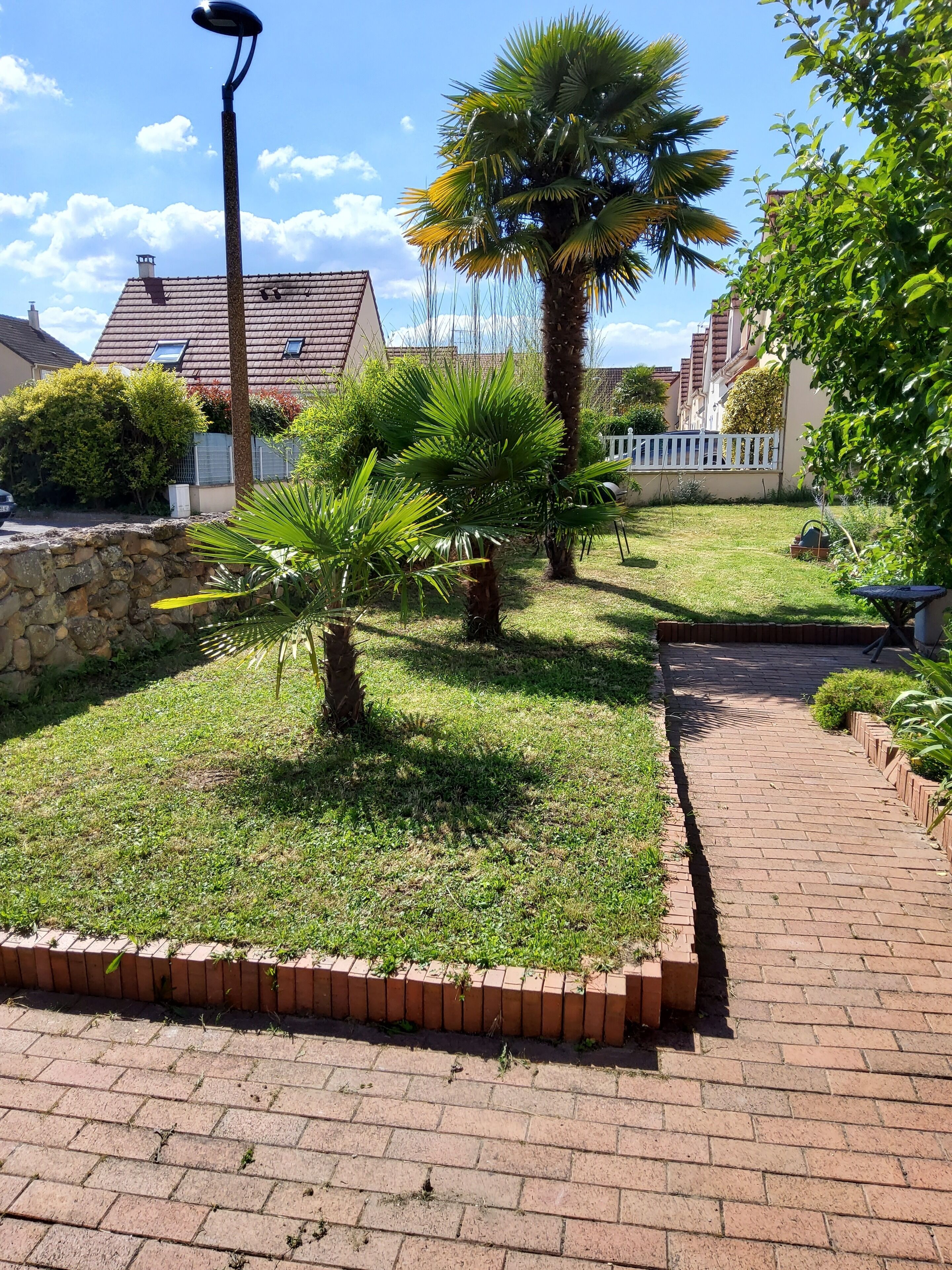 Jardí residencial amb passeig pavimentat, palmeres i mur de pedra.
