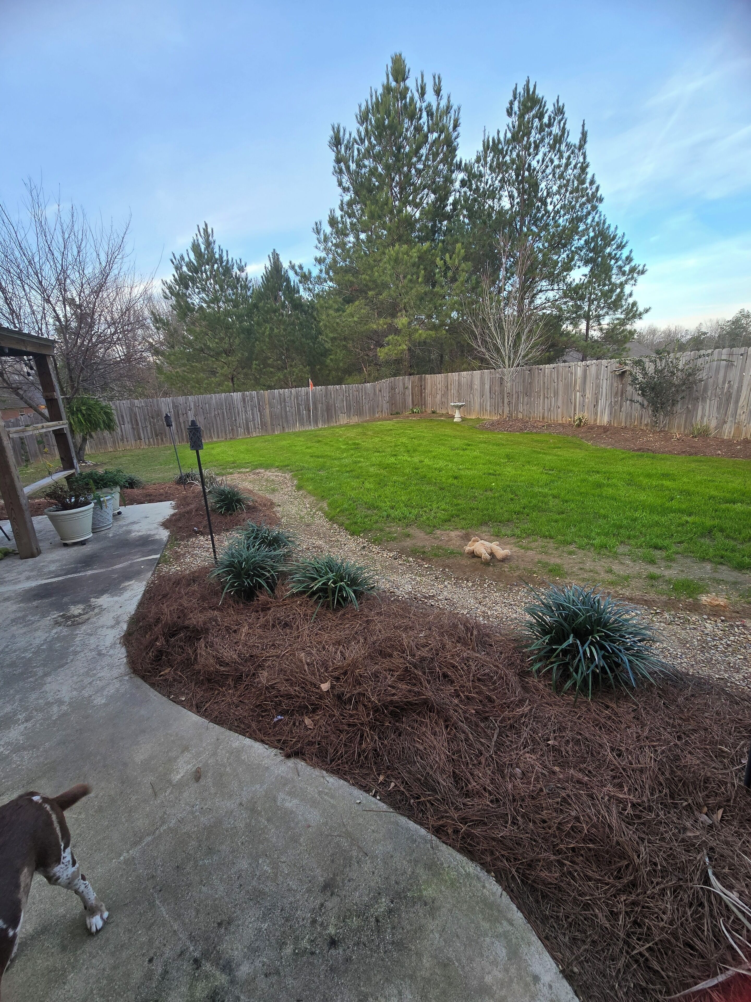 Enceinte de l’hébergement