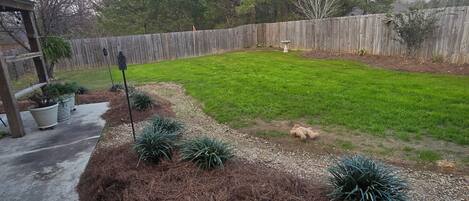 Enceinte de l’hébergement