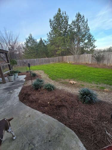 Charming 2-bedroom / 1 bath cottage with high speed starlink internet with W/D