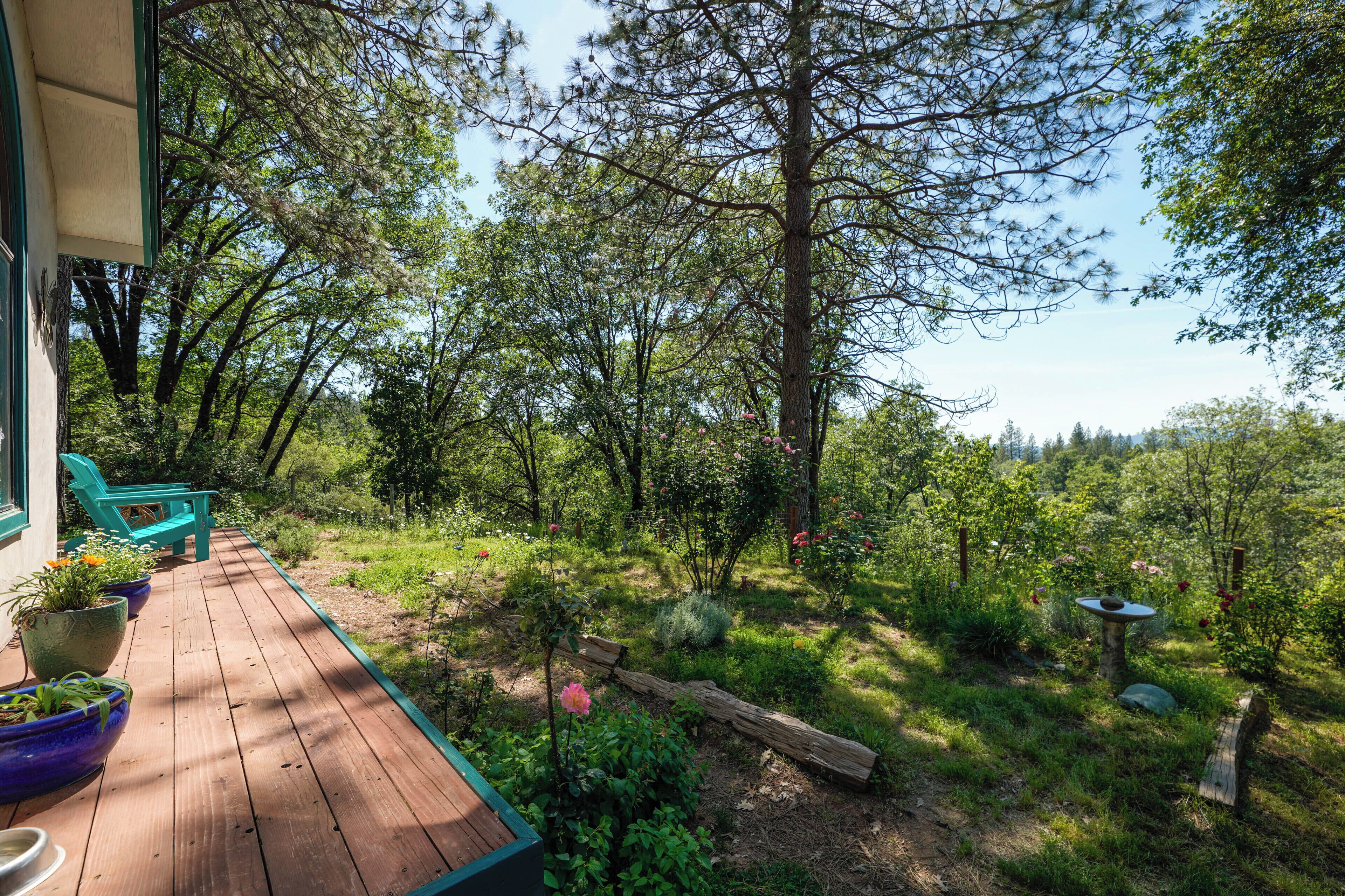 A wooden deck with outdoor seating, surrounded by lush greenery and trees.