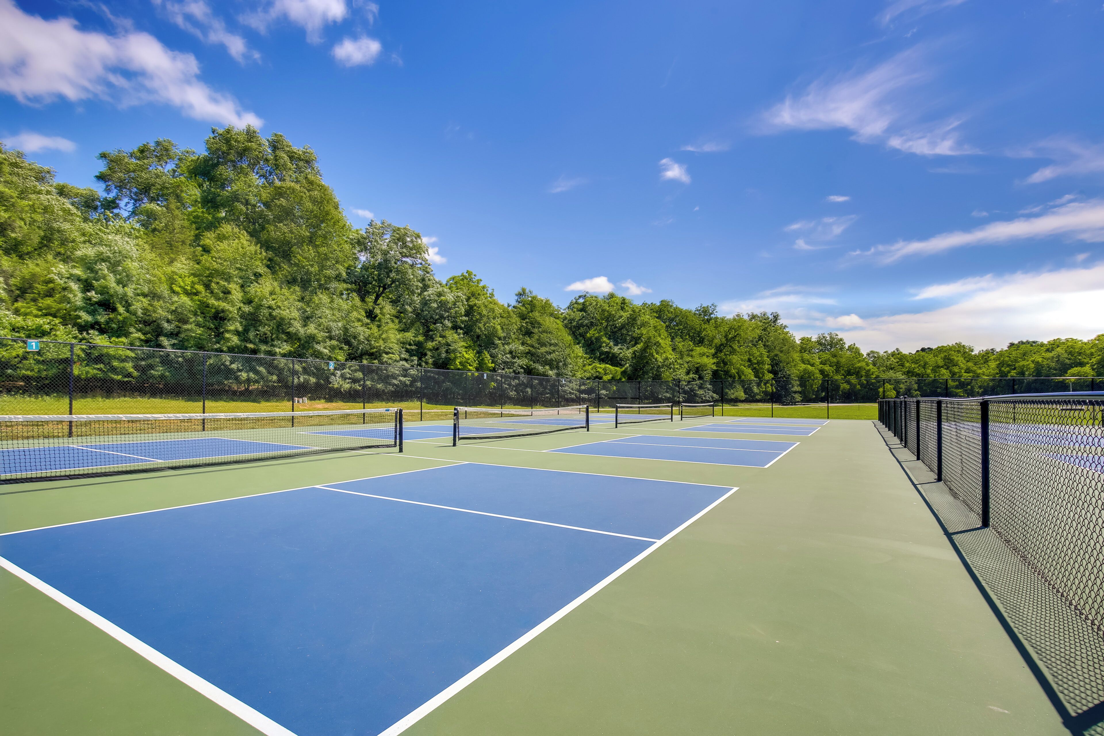 Un court de tennis comprenant plusieurs terrains, entouré d’arbres et sous un ciel dégagé.