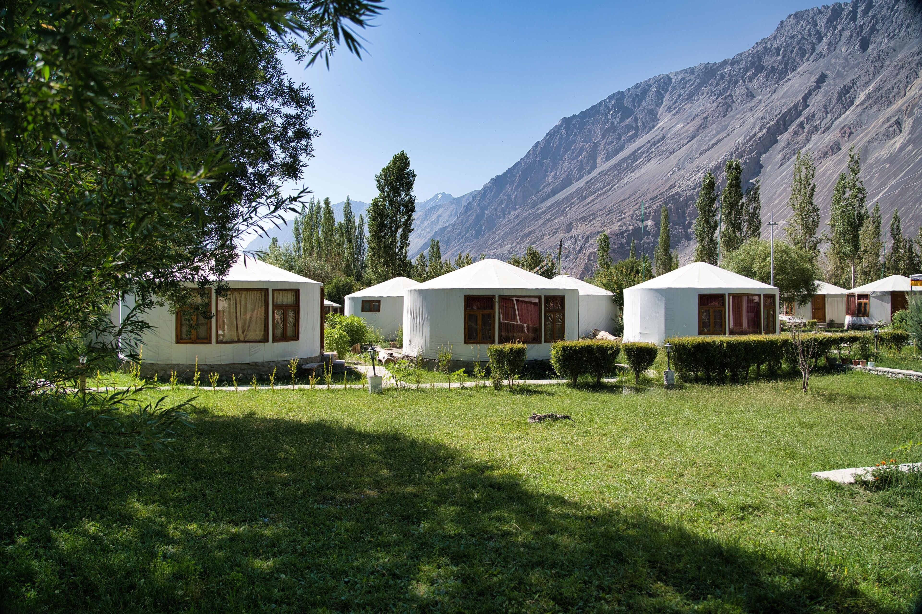 Yurts with a mountain backdrop, surrounded by greenery and a well-maintained lawn.