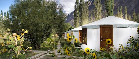 Yurt Style Cottage | Truy cập Internet không dây miễn phí