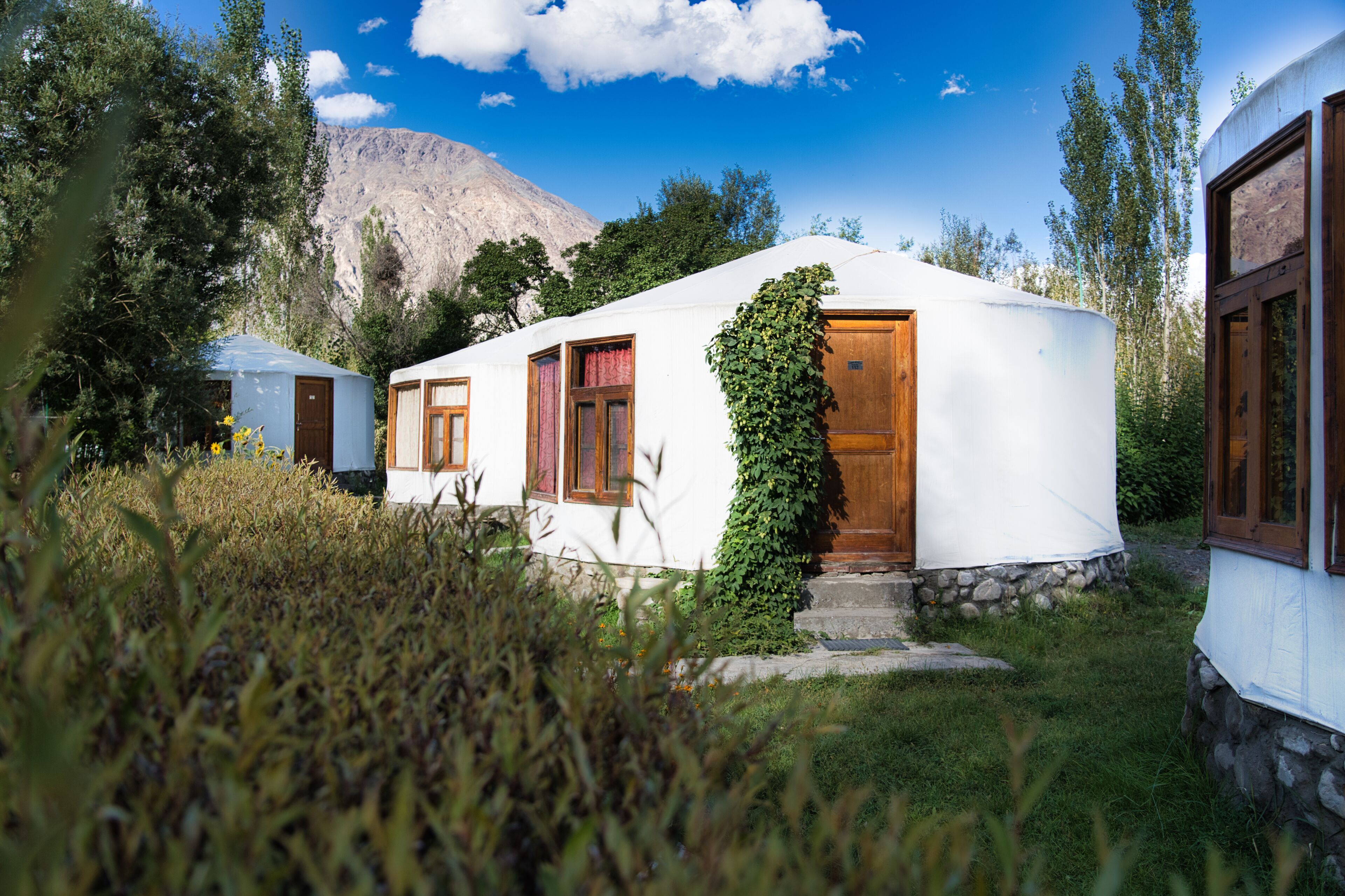 A white, single-story building with a wooden door and windows, surrounded by greenery and a mountain in the background.