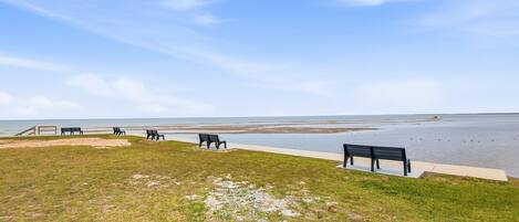 A grassy area with benches and a pathway leading to a beach.