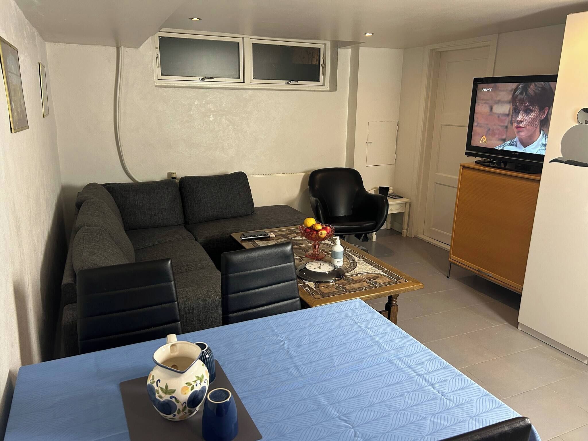 Ένας μικρός και λειτουργικός χώρος διαβίωσης με έναν καναπέ, ένα μικρό τραπέζι στο οποίο είναι τοποθετημένο ένα βάζο και φρούτα, μια καρέκλα και μια τηλεόραση πάνω σε ένα έπιπλο.