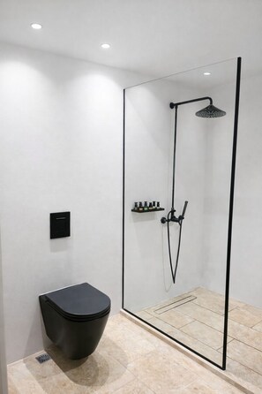 Secador de pelo, toallas, jabón y champú