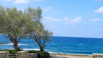 Beach/ocean view