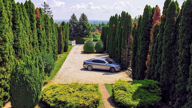 Parco della struttura