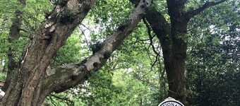 Cosy cottage in Cheshire countryside. Pet friendly with enclosed garden.