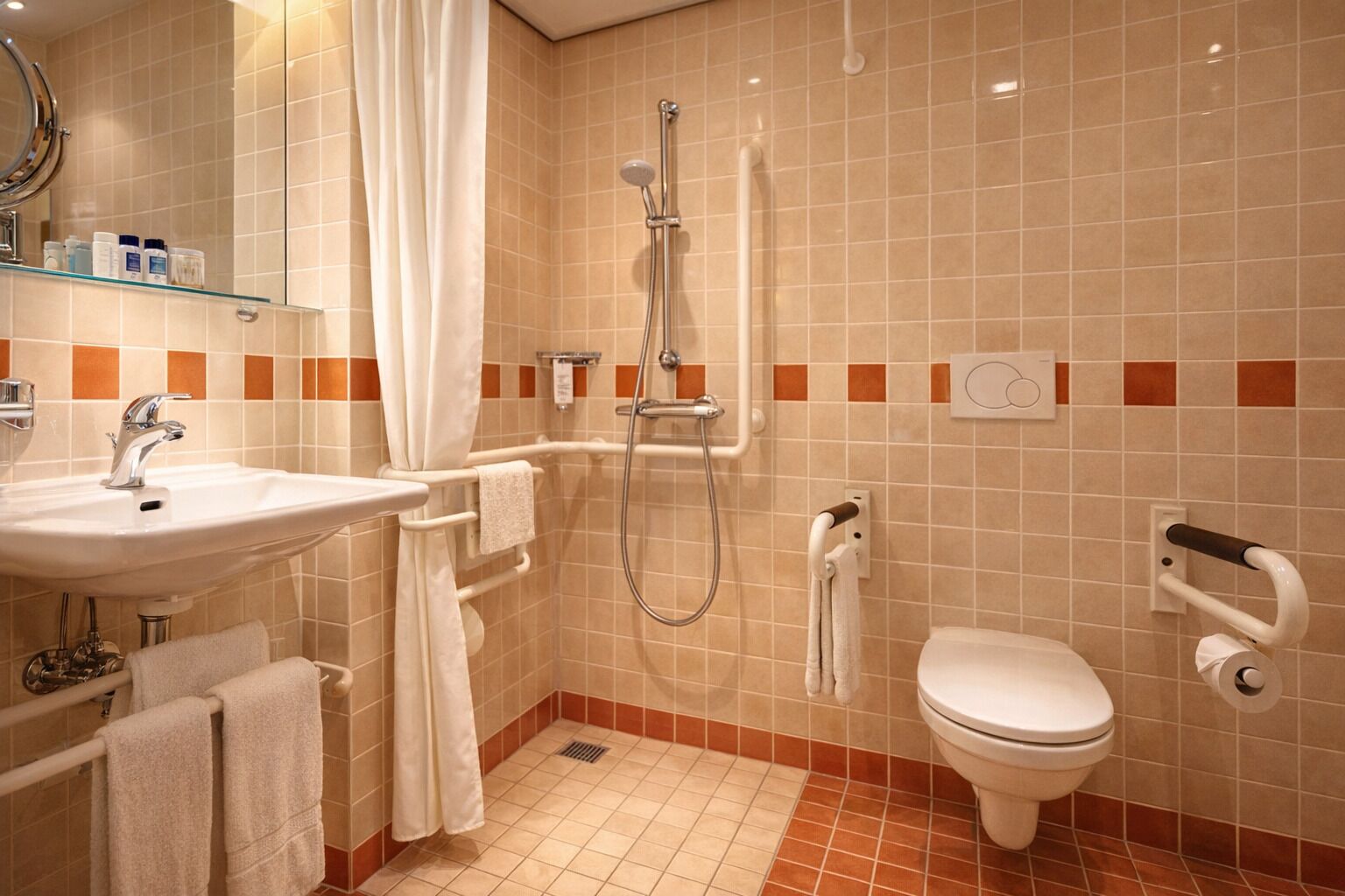 A bathroom with a sink, shower, toilet, and handrails.