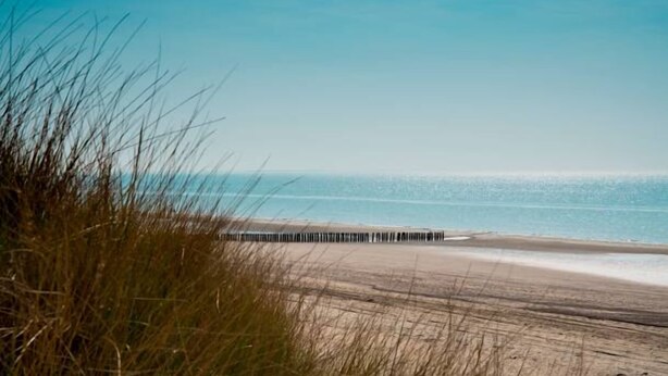 A beach with a wooden jetty and tall grass in the foreground. - Relaxing Haamstede Haven | beach escape, Scenic Nature trails, Local attractions (Burgh-Haamstede)