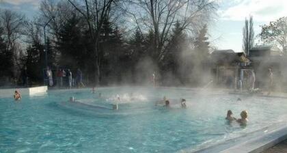 Ferienhasu Donauknie by Interhome