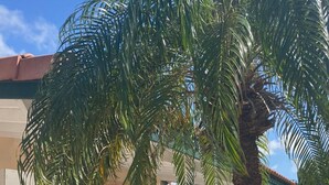 Ein modernes Gebäude mit überdachter Terrasse, Sitzgelegenheiten im Freien und einer Palme.