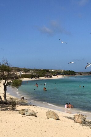 Playa