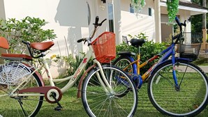 Tres bicicletas estacionadas sobre un césped frente a un edificio con fachada blanca y ventanas.
