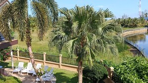 Zona junto a la piscina con sillones de descanso, una palmera y vista a un cuerpo de agua.