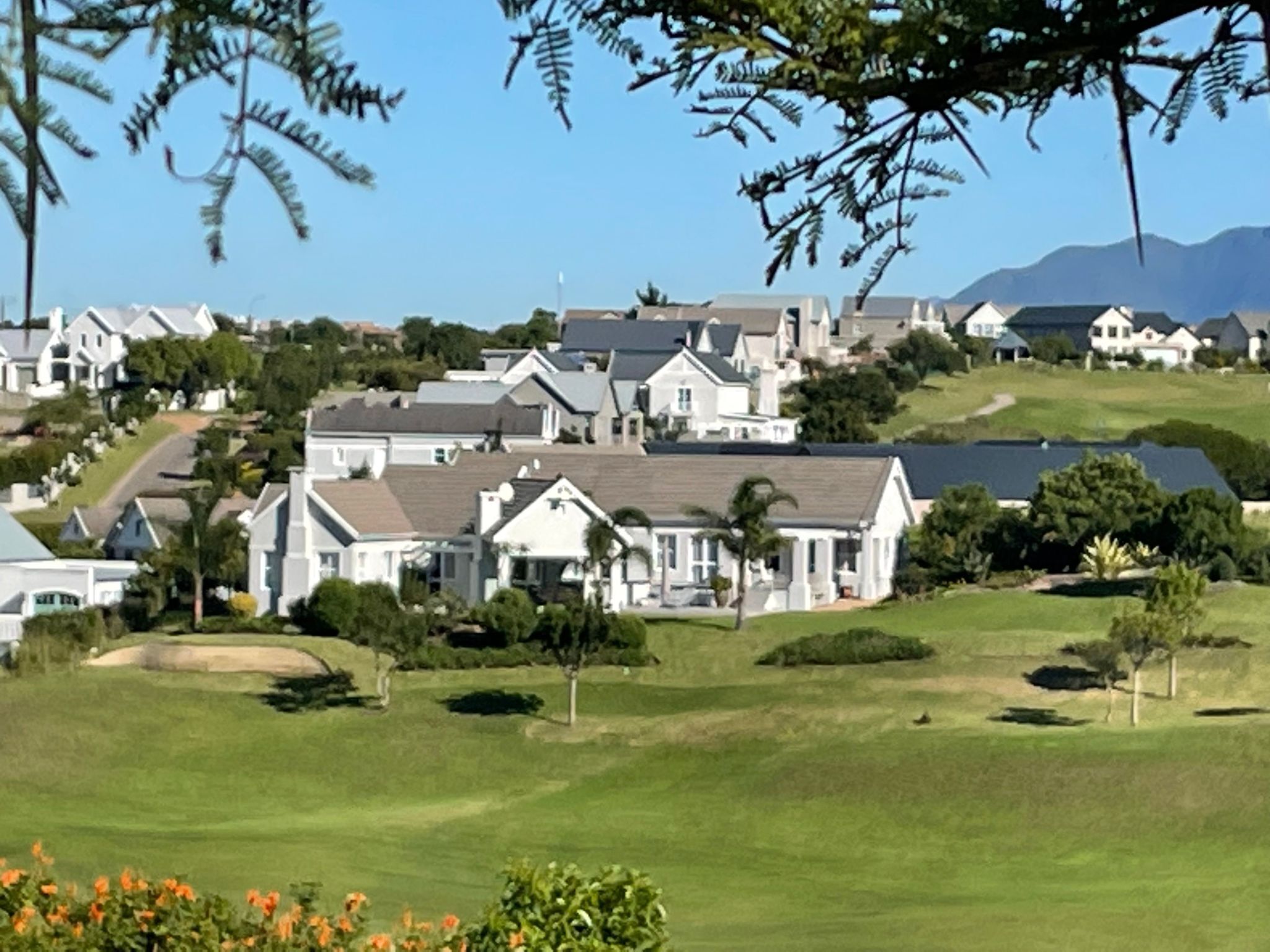 A residential area with houses on a hillside, surrounded by greenery and a clear sky.