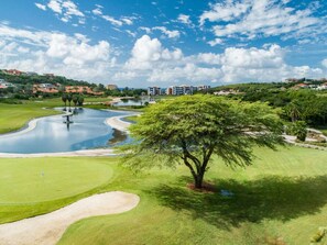 Ein Golfplatz mit Teich, Baum und Gebäuden im Hintergrund.