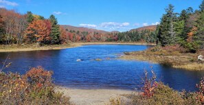 Unclassified image, 3 of 30, button