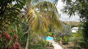 Un sentier qui mène à une piscine entourée d’une végétation tropicale et de palmiers.