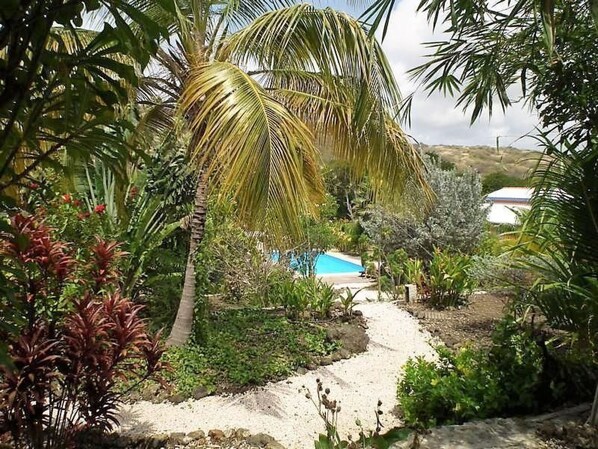 Un sendero que lleva a una piscina rodeada de vegetación tropical y palmeras.