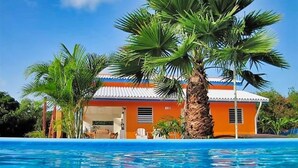 Vue sur une maison depuis la piscine, avec une piscine d’un bleu éclatant, entourée de palmiers et dotée d’une façade d’un orange vif.