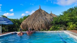 Ein Schwimmbecken mit zwei Personen im Wasser, ein Reetdachgebäude im Hintergrund und üppiges Grün ringsum.