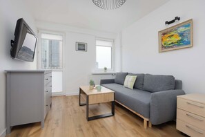 Fernseher, Arbeitsbereiche