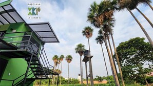 A green outdoor area with a staircase leading up to a building, surrounded by palm trees and a clear sky. - Encanto Llanero by Interhome (Villavicencio Meta)
