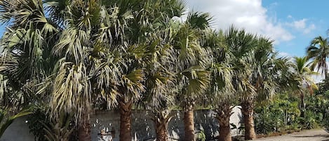 Terrain de lâhĂ©bergement