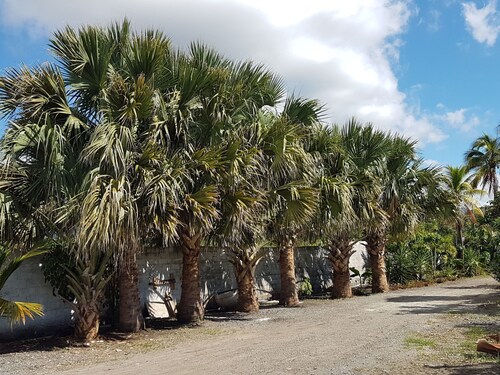 Finca im Grünen by Interhome