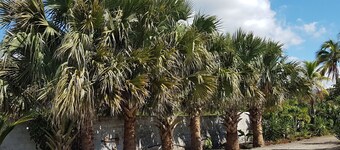 Finca im Grünen by Interhome