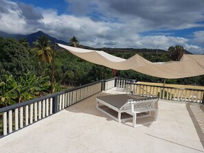 テラス / パティオ