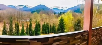 Vila Roberta Breaza Brasov by Interhome