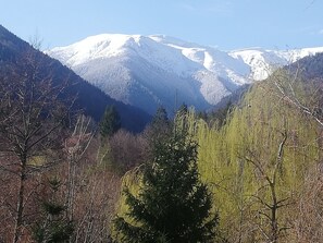 Imagen sin descripción, 4 de 31, botón