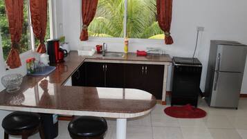 Fridge, microwave, oven, cookware/dishes/utensils