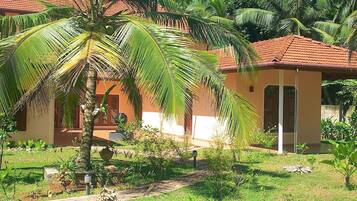A bungalow with a tiled roof, surrounded by lush greenery and palm trees.