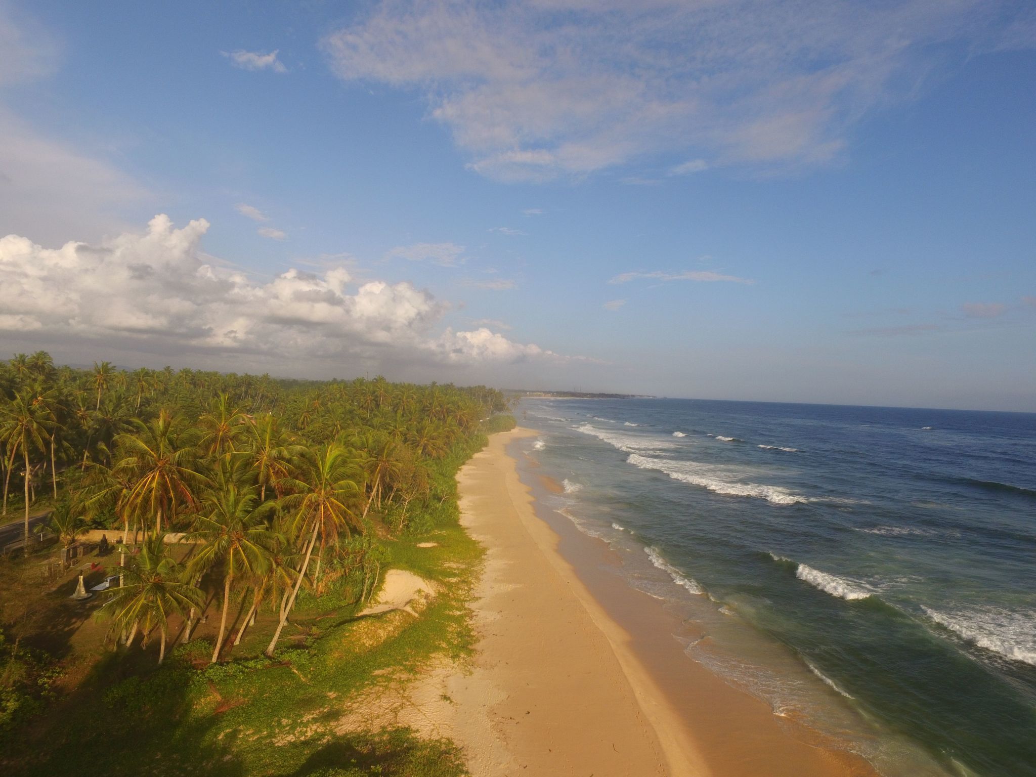A beach with a sandy shore, palm trees, and the ocean.