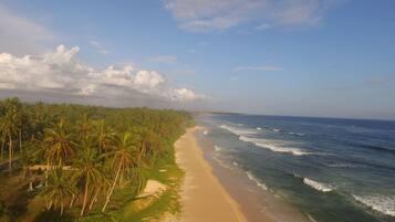 A beach with a sandy shore, palm trees, and the ocean.
