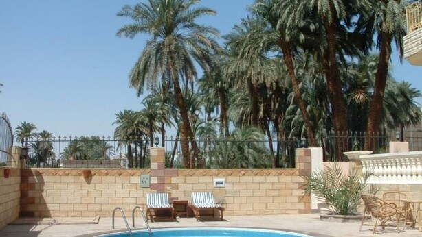 A swimming pool with lounge chairs and palm trees in the background.