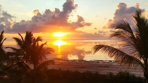 Ein Strandbild mit Palmen und einem Sonnenuntergang über dem Meer.