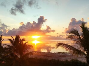 Photo non classée, 4 sur 45, bouton