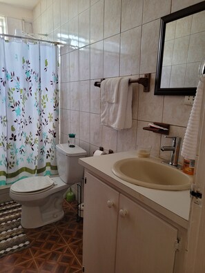 Shower, eco-friendly toiletries, towels, soap - Pacific View Apartment -Elegant and comfortable island living for every stay (Roseau)