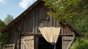 Une grange en bois rustique, dotée d’une grande porte ouverte et d’une échelle appuyée contre le mur.