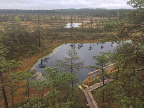 Luokittelematon kuva, 3 kautta 32, painike