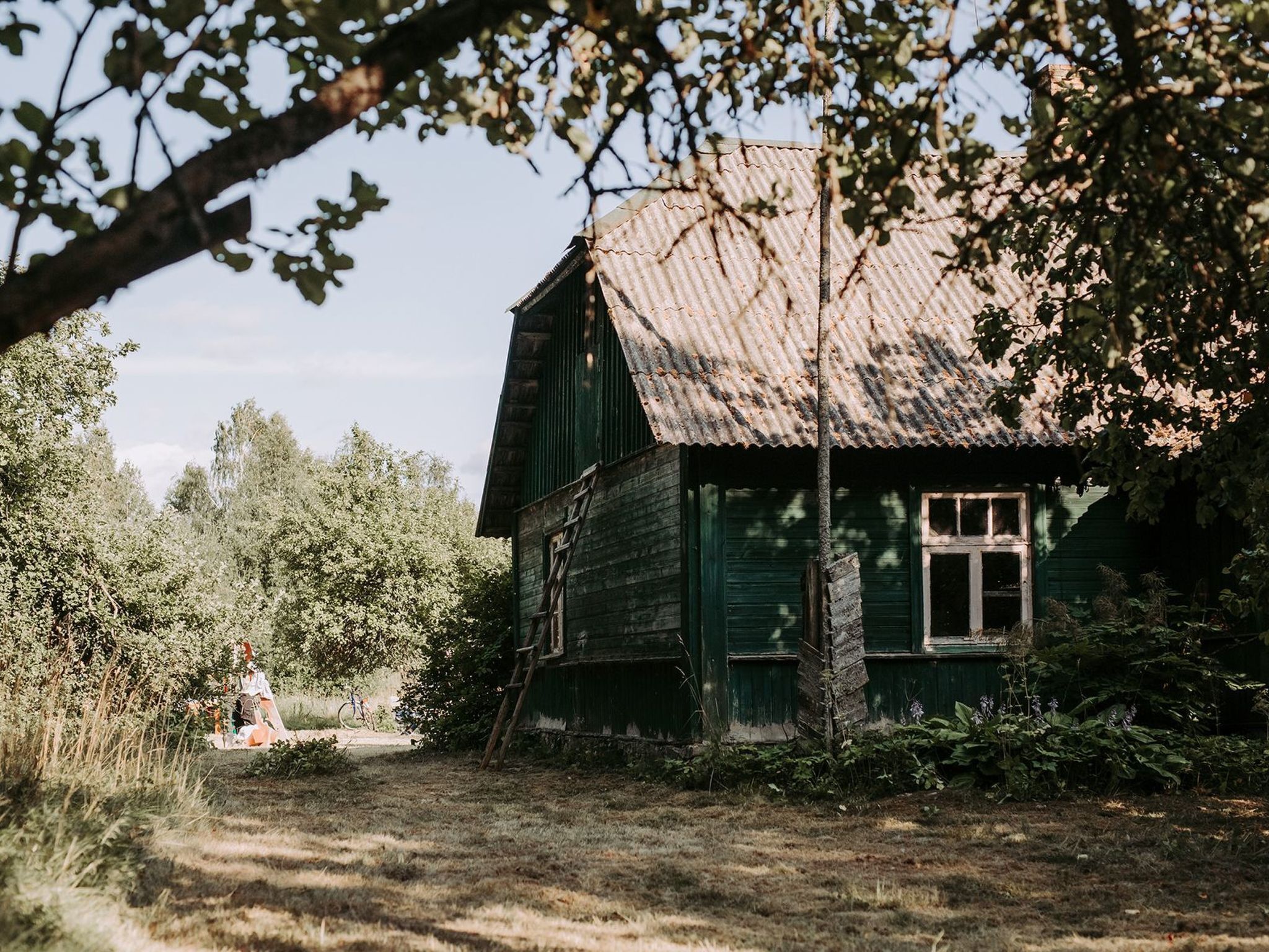 Une maison rustique en bois, avec un toit en tôle ondulée, entourée d’une végétation luxuriante, et un vélo en premier plan.