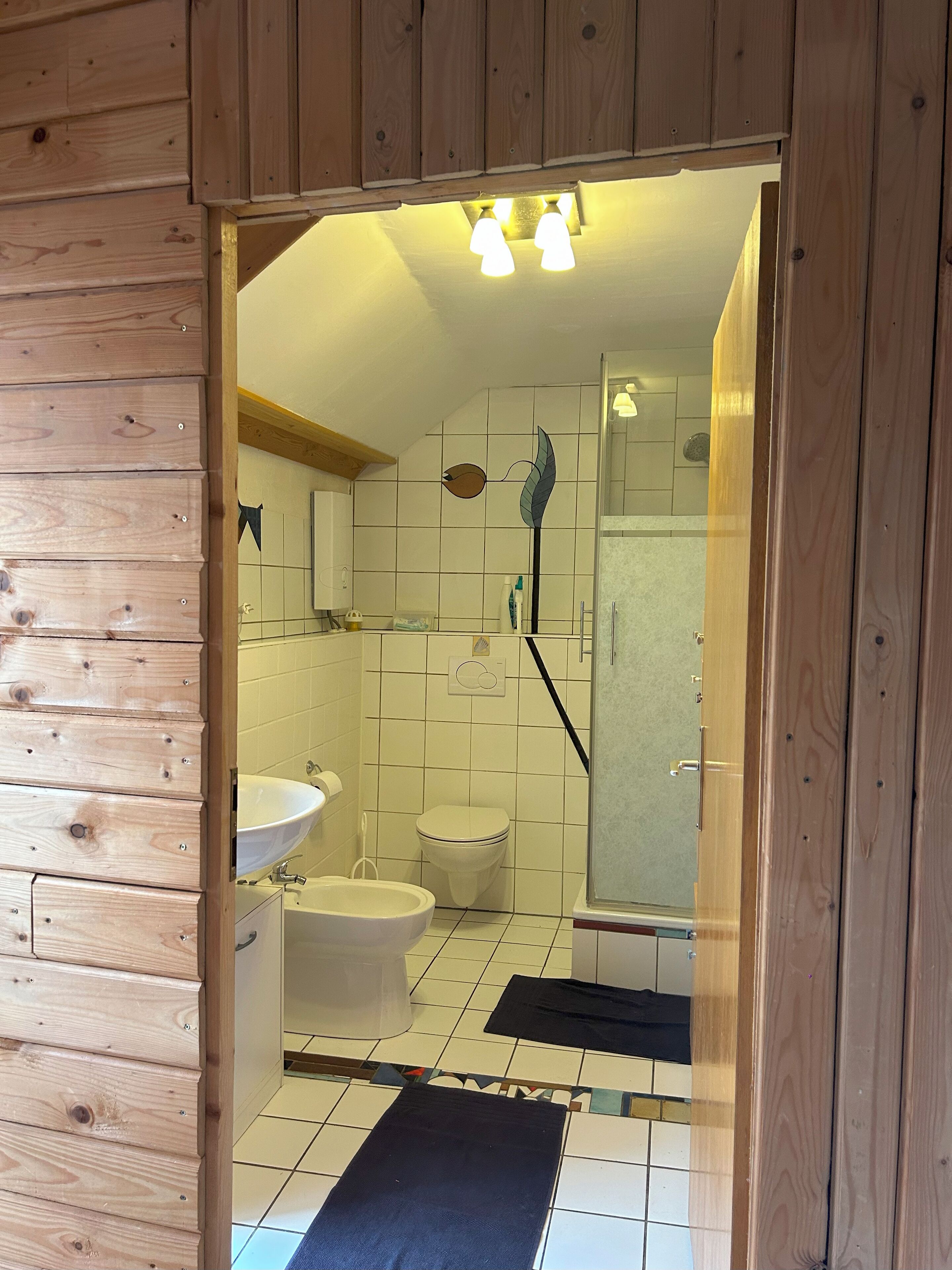 Dusche, Haartrockner, Bidet, Handtücher